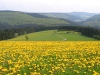 Blick ins Odeborntal