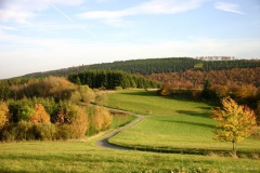 Langewiese im Herbst